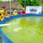 Budidaya ikan BUMDes Bangunrejo Kidul untuk program Ketahanan Pangan