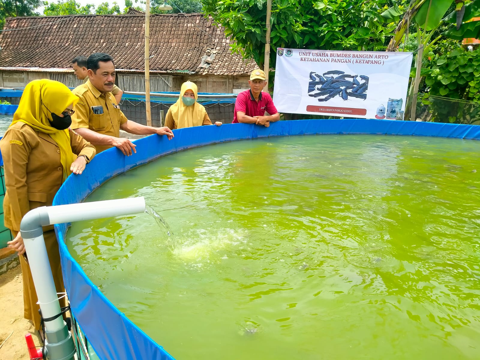 Pengelola BUMDes Bangunrejo Kidul mengembangkan budidaya ikan melalui program Ketahanan Pangan | foto by hendro